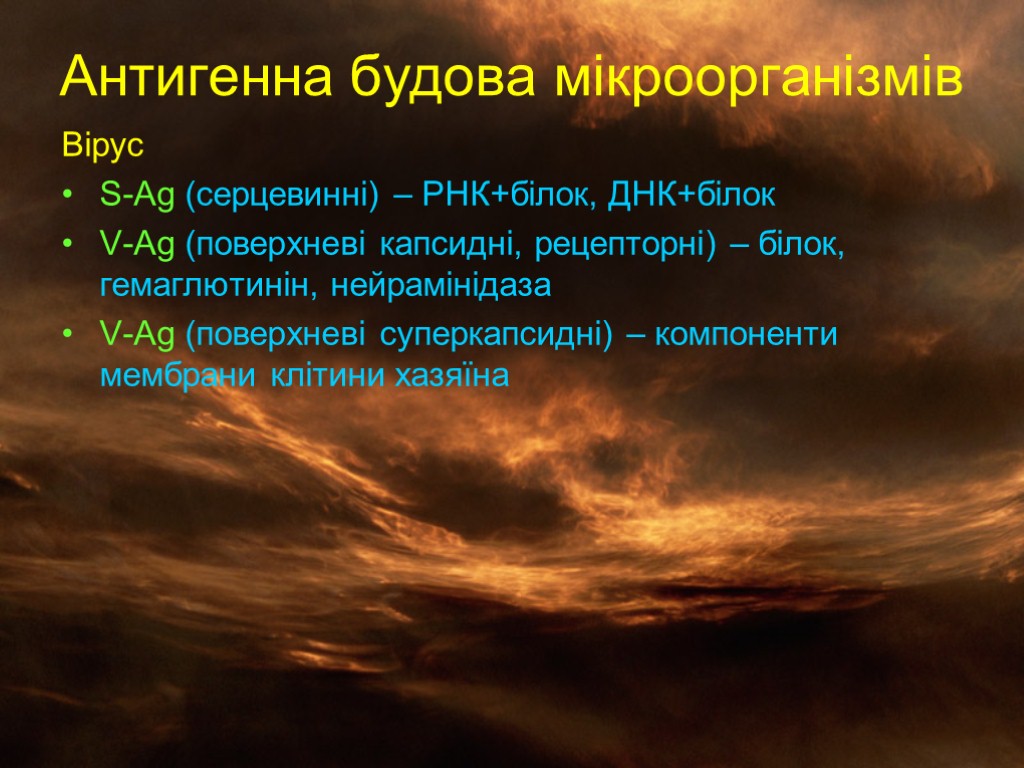 Антигенна будова мікроорганізмів Вірус S-Ag (серцевинні) – РНК+білок, ДНК+білок V-Ag (поверхневі капсидні, рецепторні) –